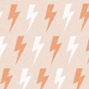 Meet your Posher, Analia